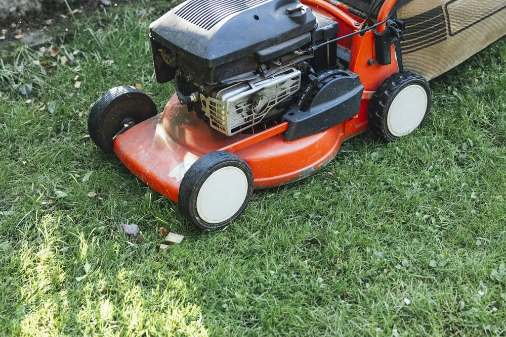 Tondeuse à gazon orange sur une pelouse